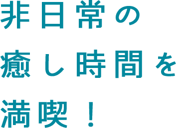 様々なニーズにこたえられる多彩な楽しみ方