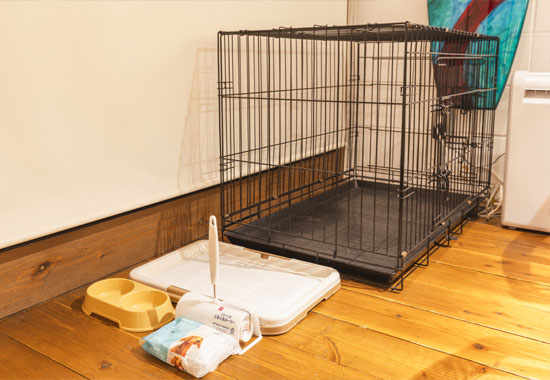 免费！公寓区域的4个客房均可与宠物一起ご宿泊。